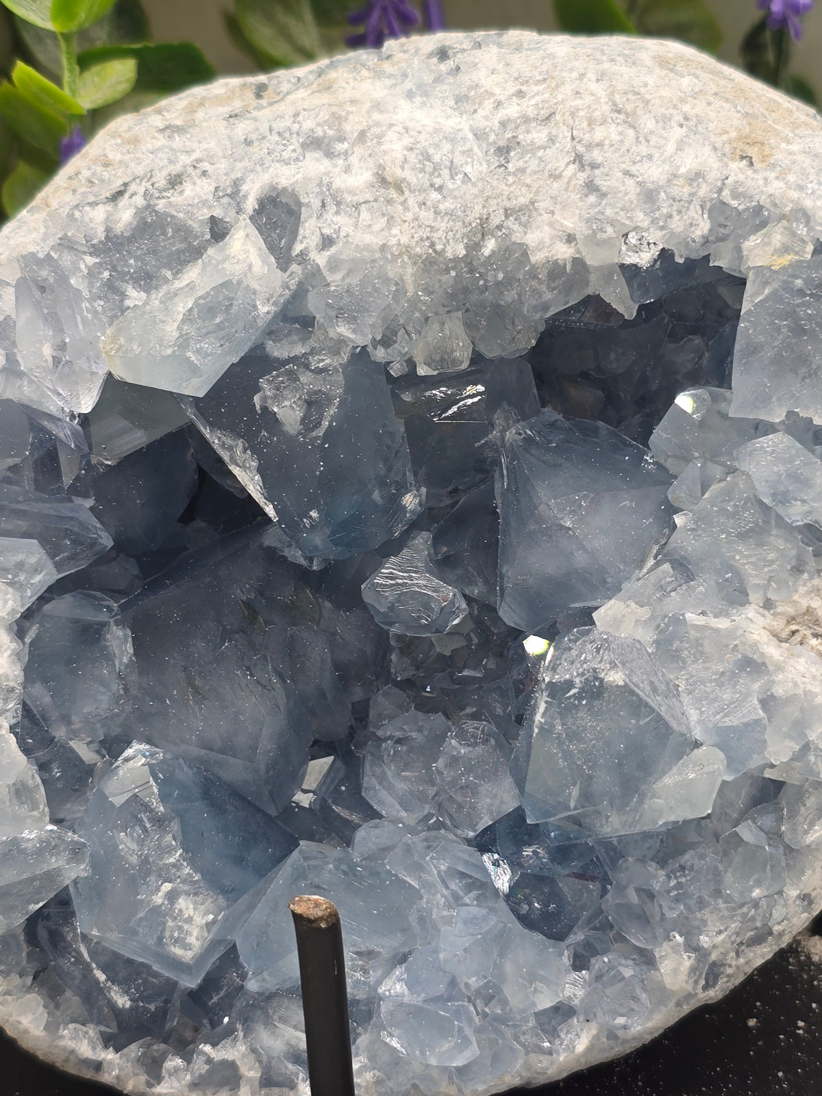 Celestite Geode High Grade – Stone of Divine Peace, Angelic Connection & Inner Harmony | 2.2kgs Crystal Wellness