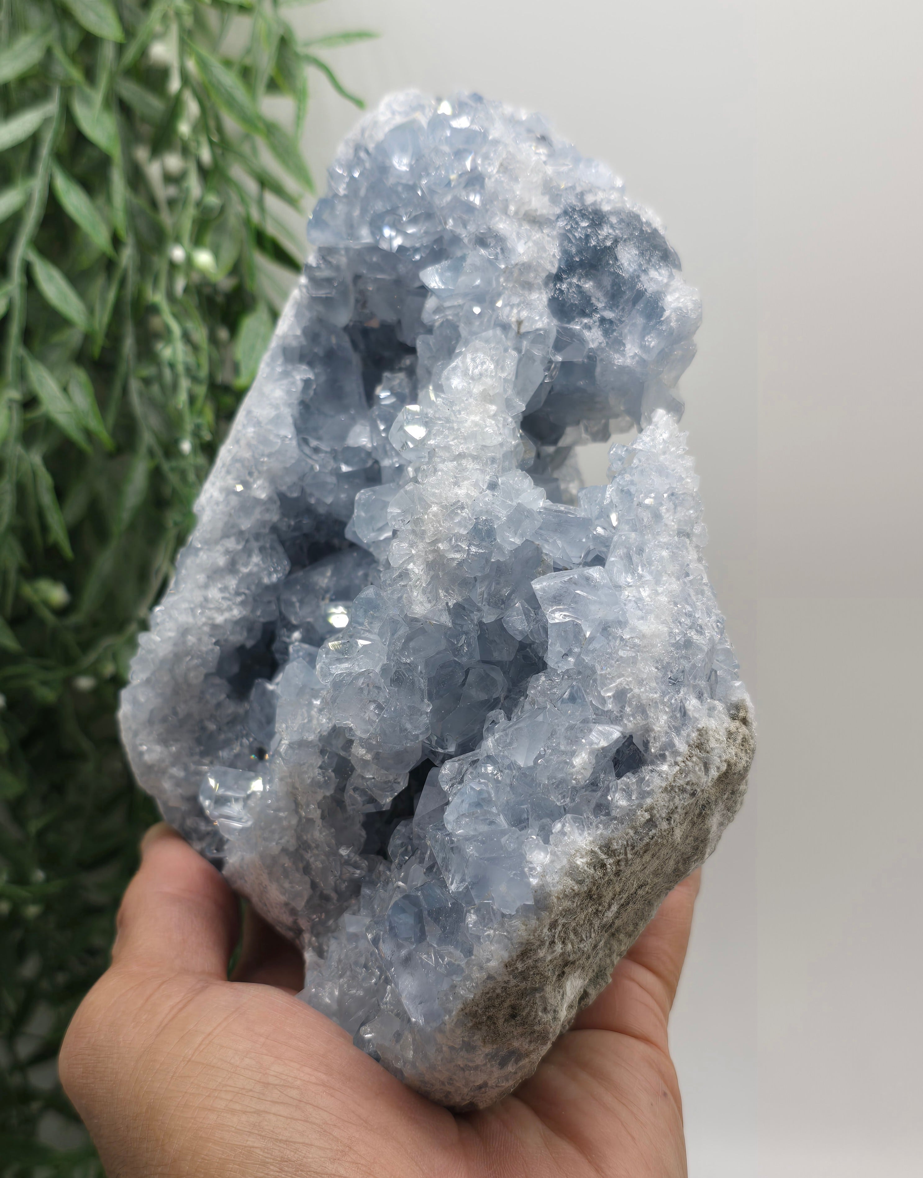 Celestial Calm Celestite Geode – 3kg Madagascar Crystal Wellness