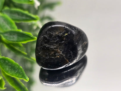 Genuine Nuumite Tumbled Stone (Stone of Ancient Protection & Personal Power) Crystal Wellness