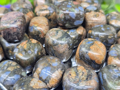 Que Sera Stone (Llanite) Tumbled Stone – Stone of Trust, Balance & Positive Change Crystal Wellness