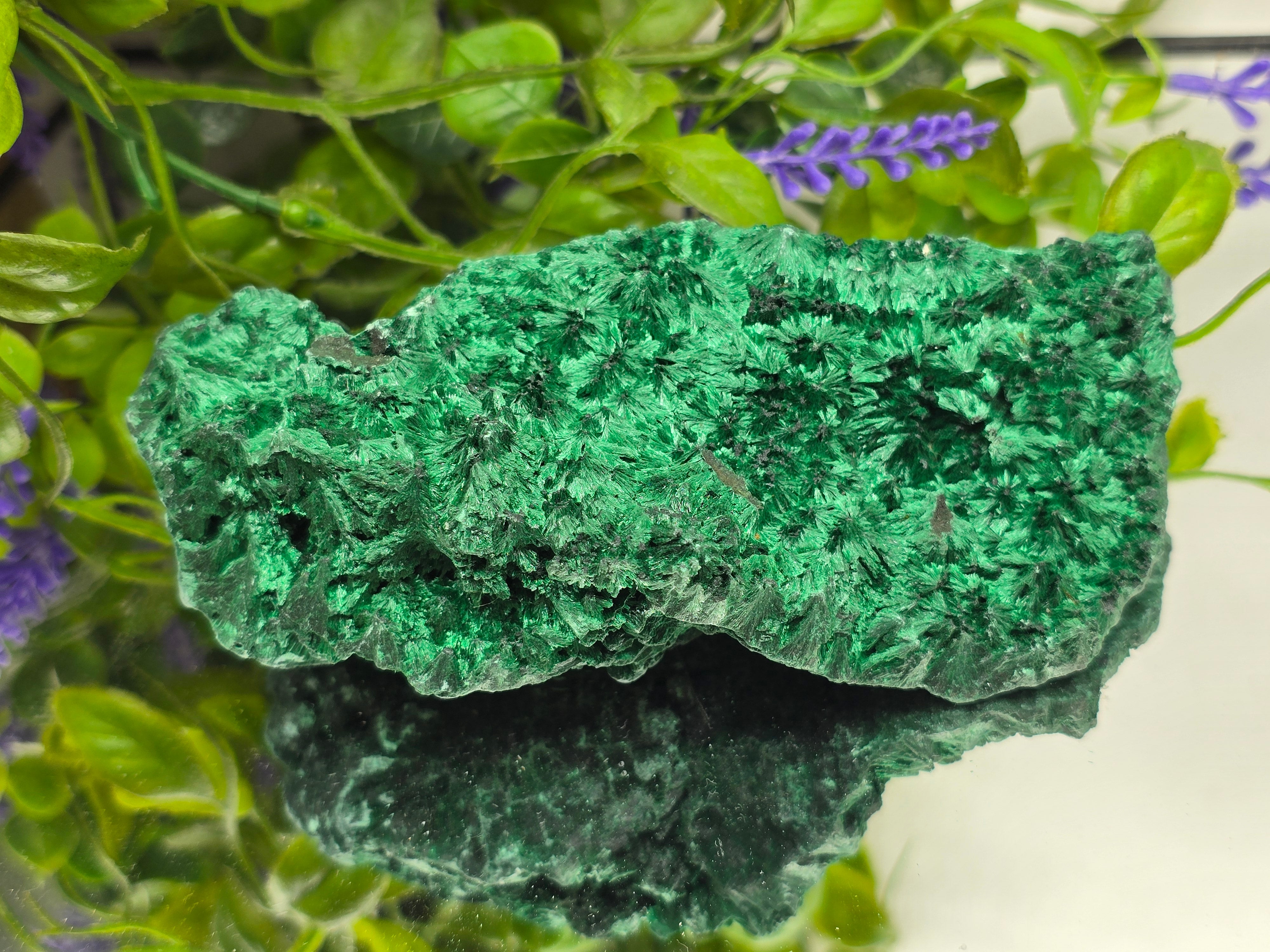 Fibrous Malachite Specimen 415g (Stone of Deep Transformation & Protection)