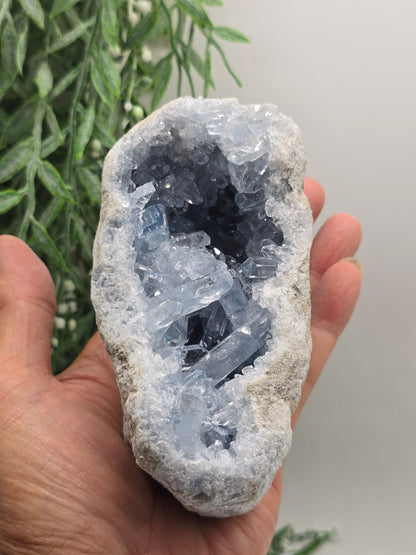 Celestial Harmony Celestite Geode – Natural Sky Blue Crystal Cave 1kg 14x7x7cm Crystal Wellness