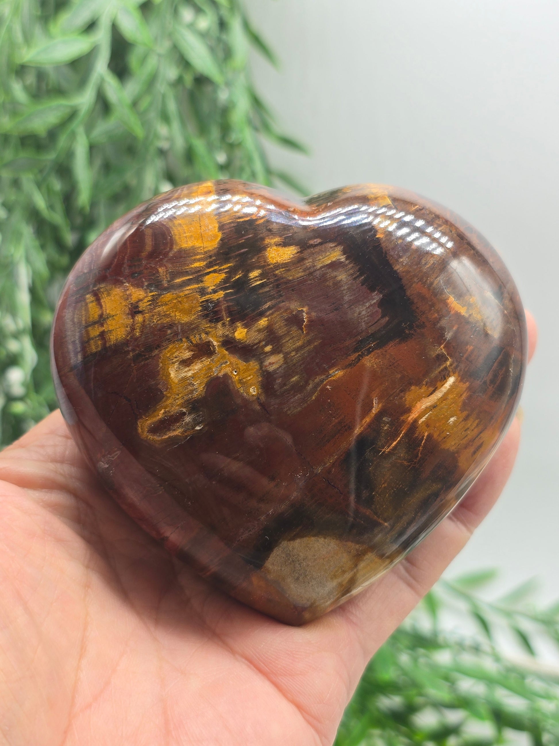 Premium Grade Madagascar Petrified Wood Heart – Stone of Stability and Enduring Success | 481g (Stand Included) Crystal Wellness