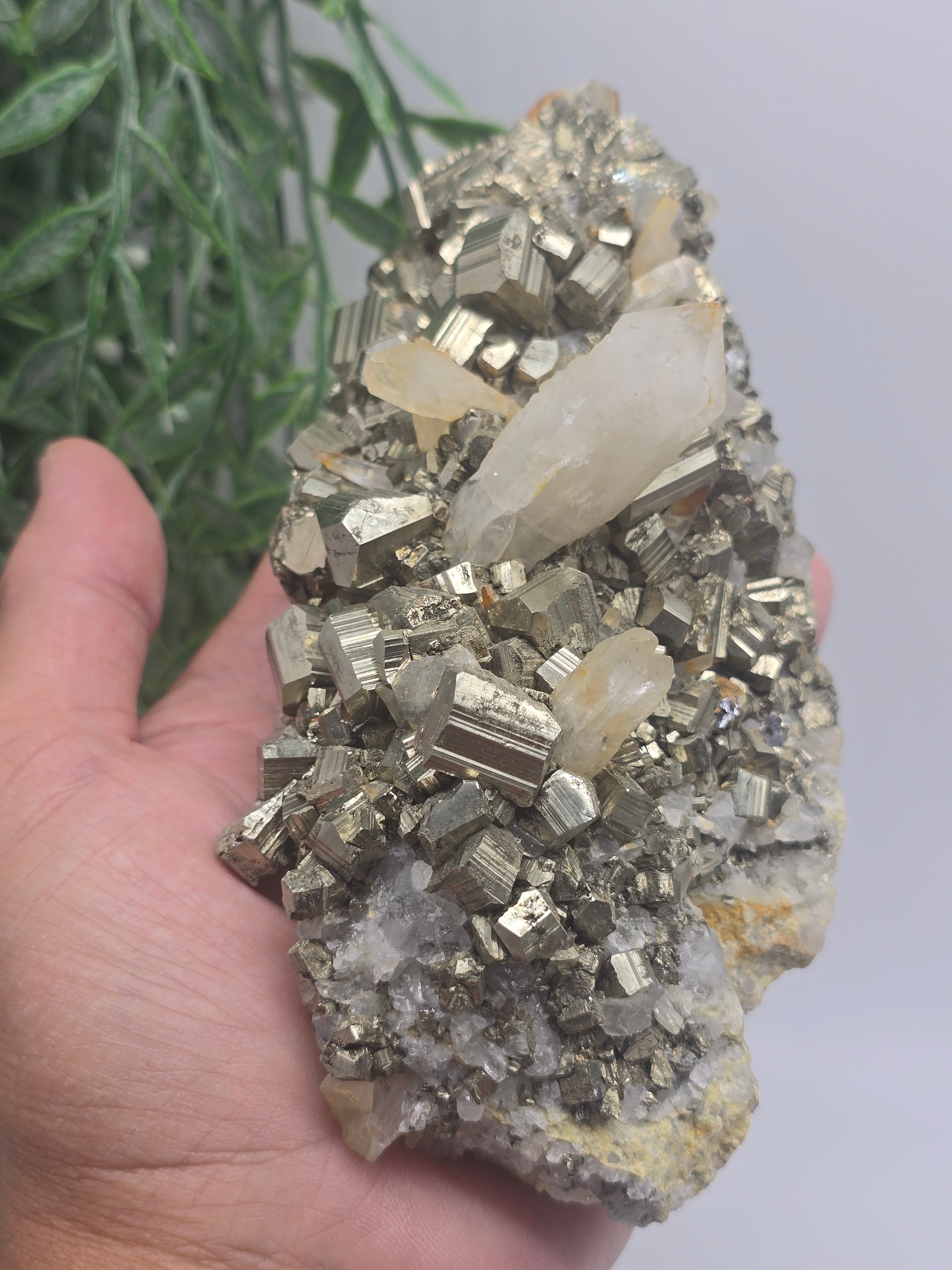 Pyrite with Clear Quartz Point AAA Grade Rare 14x9x8cm 1kg Crystal Wellness