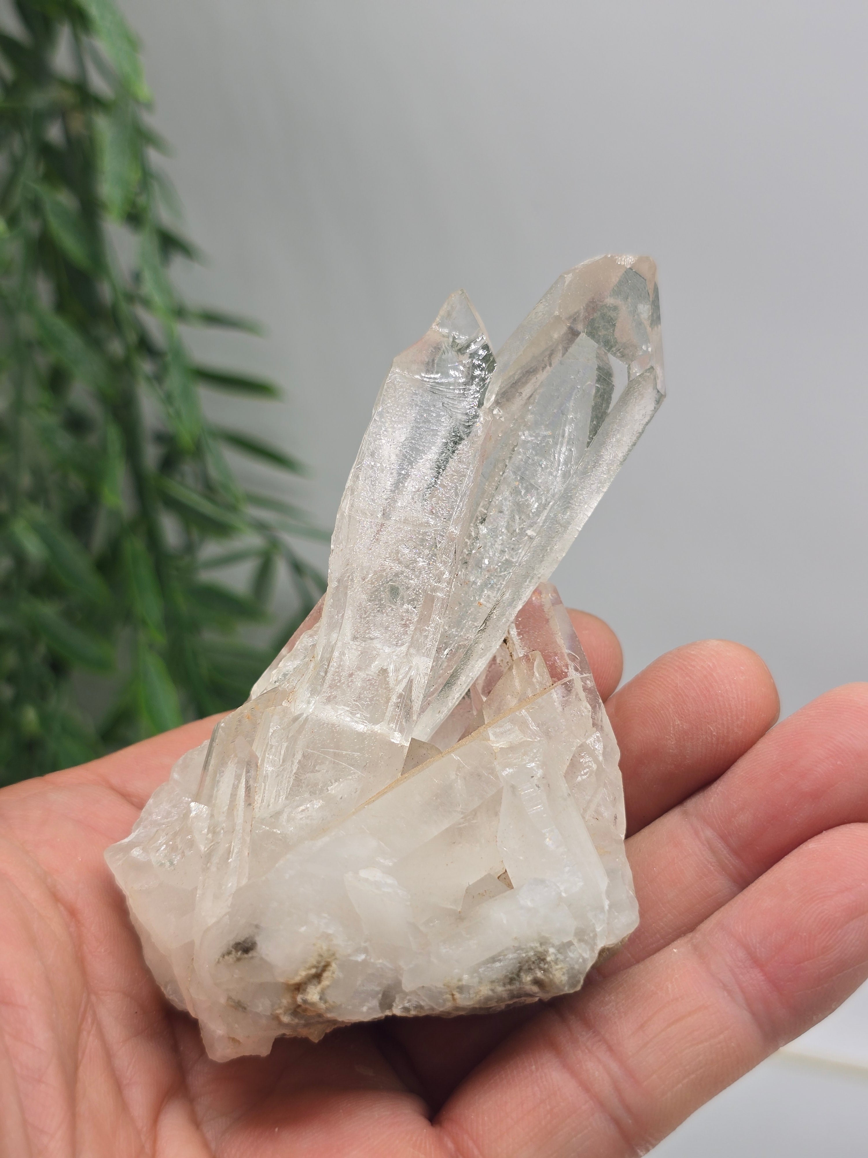 Clear Quartz Cluster Specimen 10 × 6 cm (Stone of Amplified Light & Pure Clarity) Crystal Wellness