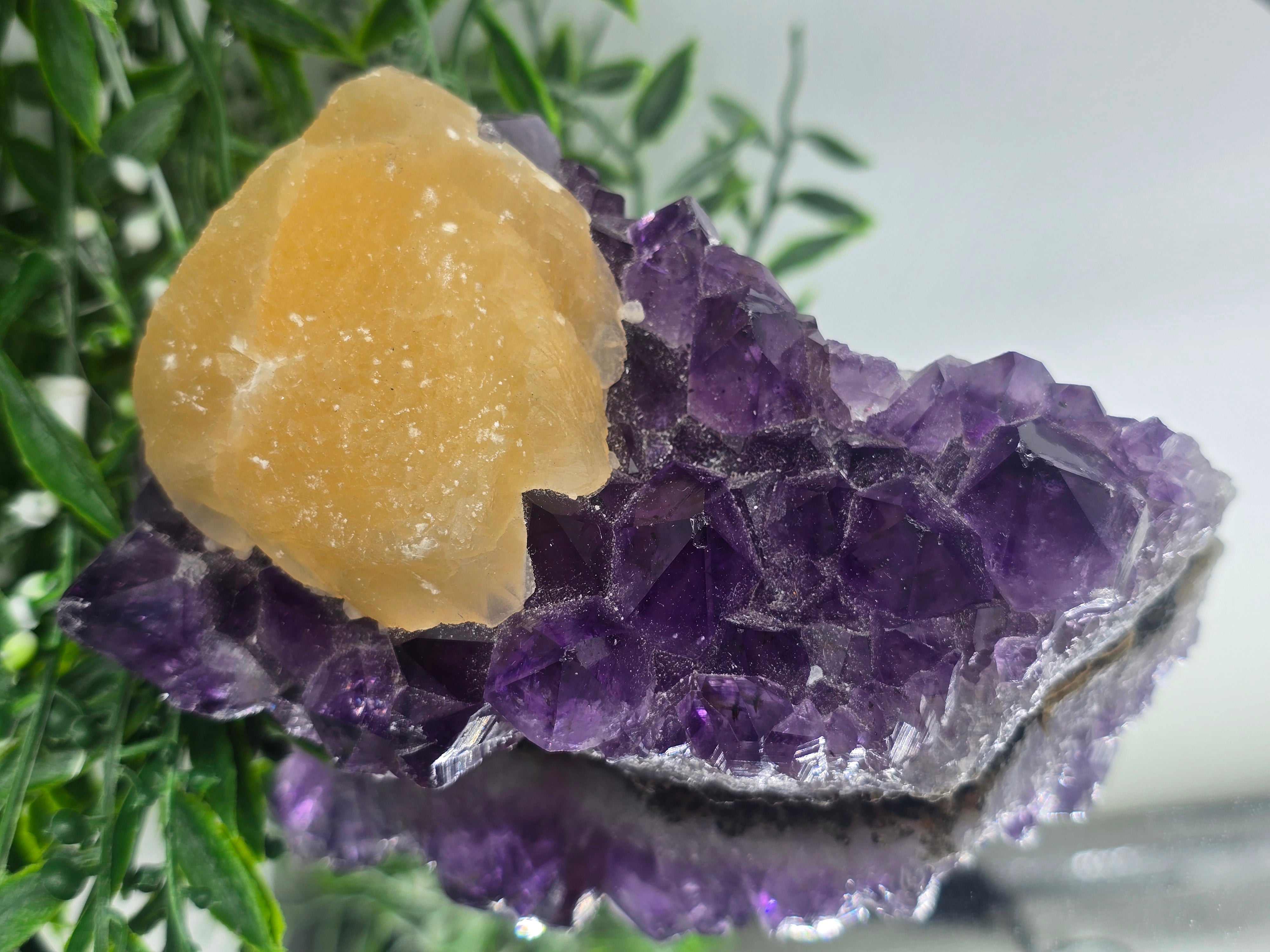 Yellow Calcite & Amethyst Crystal Fusion – Rare Collector’s Piece 13x8x6cm Crystal Wellness