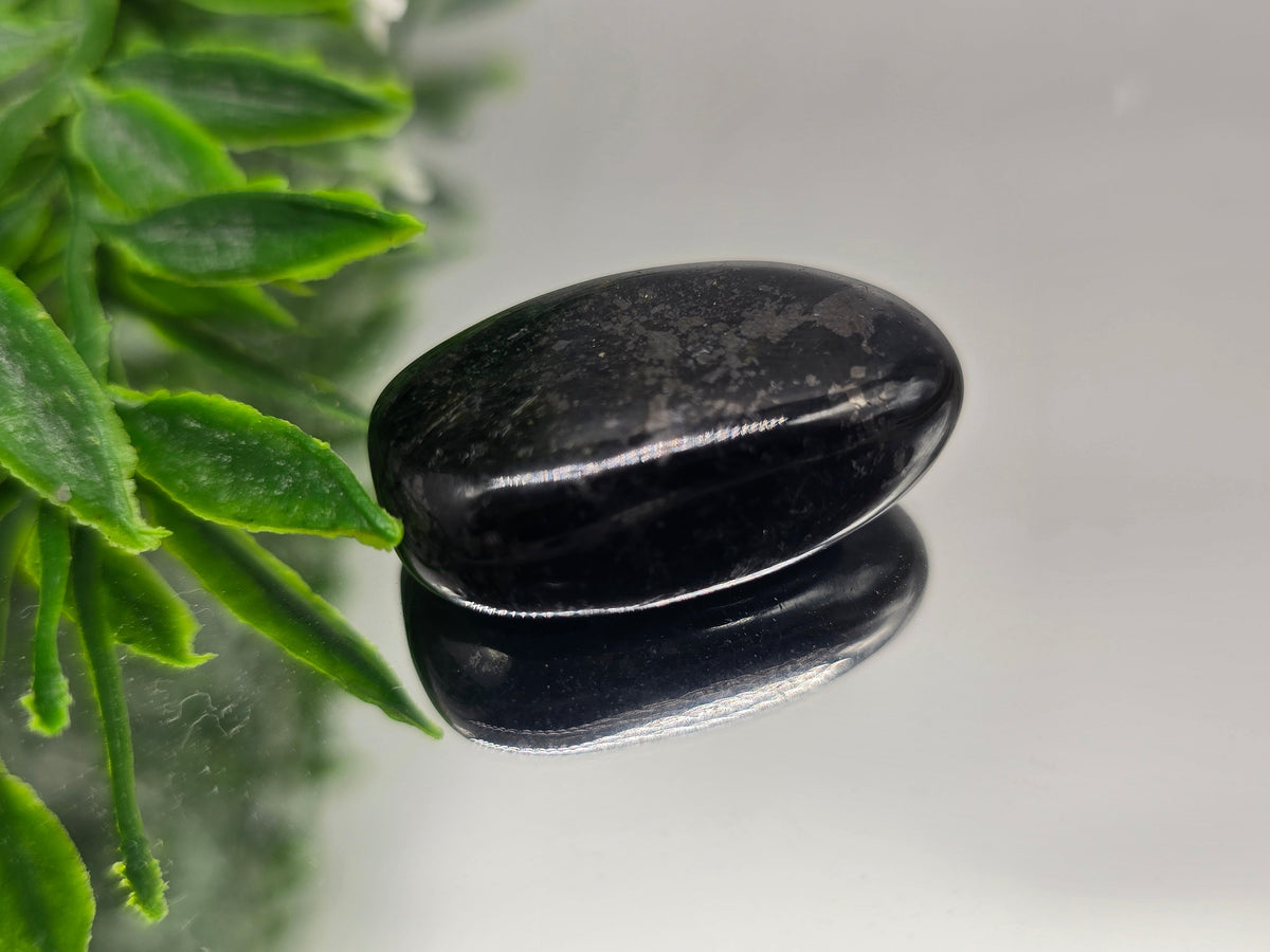 Genuine Nuumite Tumbled Stone (Stone of Ancient Protection & Personal Power) Crystal Wellness