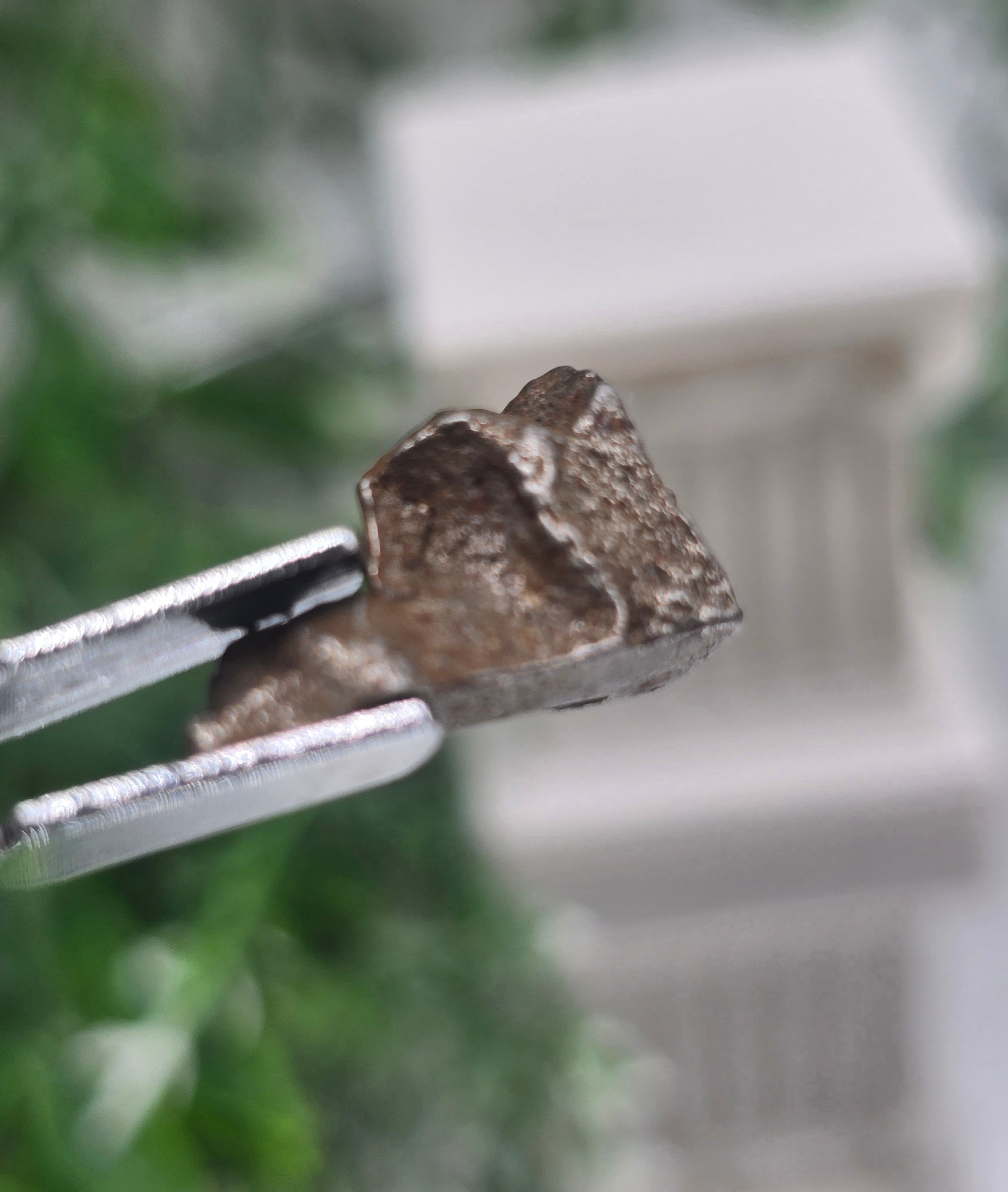 ✨ Sikhote-Alin Iron Meteorite – 3.33g | A Fragment of Falling Stars Crystal Wellness