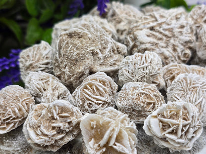 Desert Rose Crystal Wellness