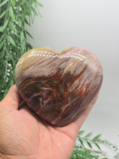 Premium Grade Madagascar Petrified Wood Heart – Stone of Stability and Enduring Success | 700g Crystal Wellness