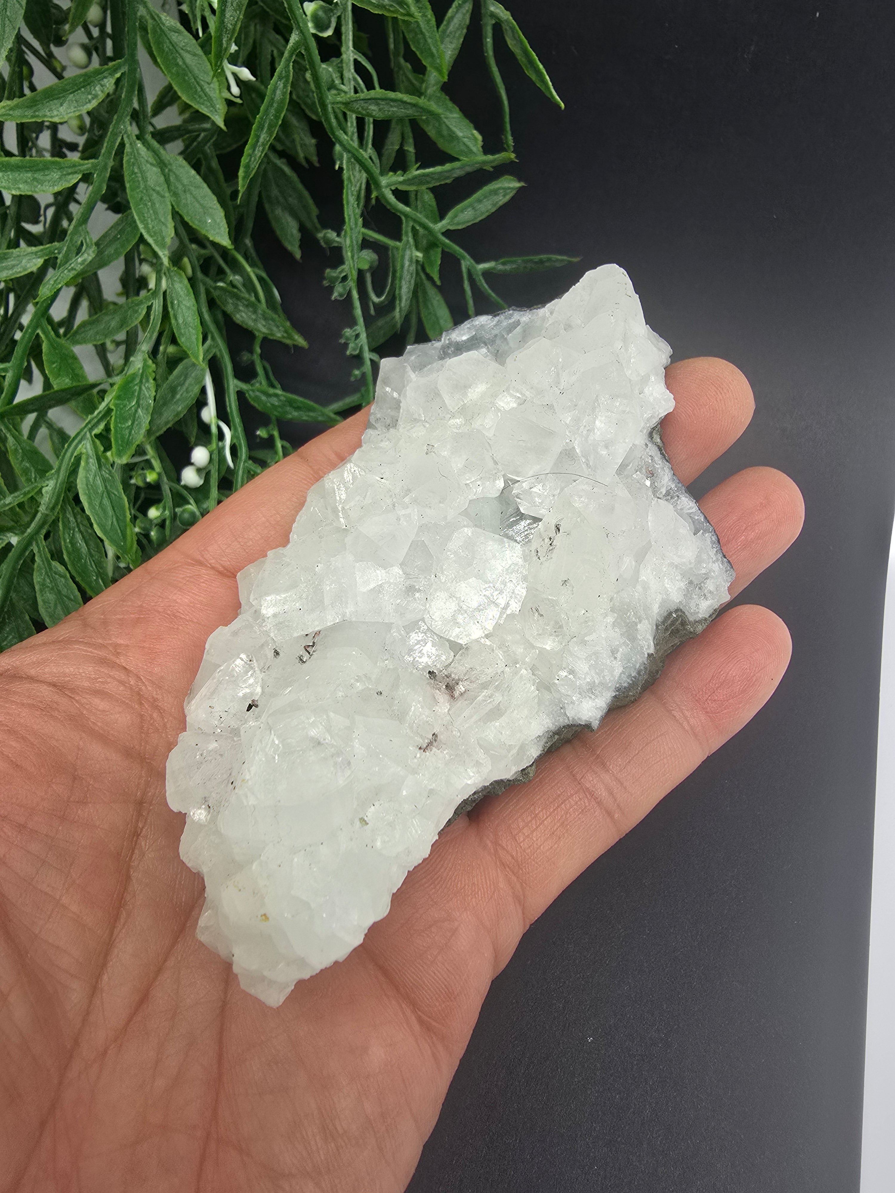 Apophyllite #6 Crystal Wellness