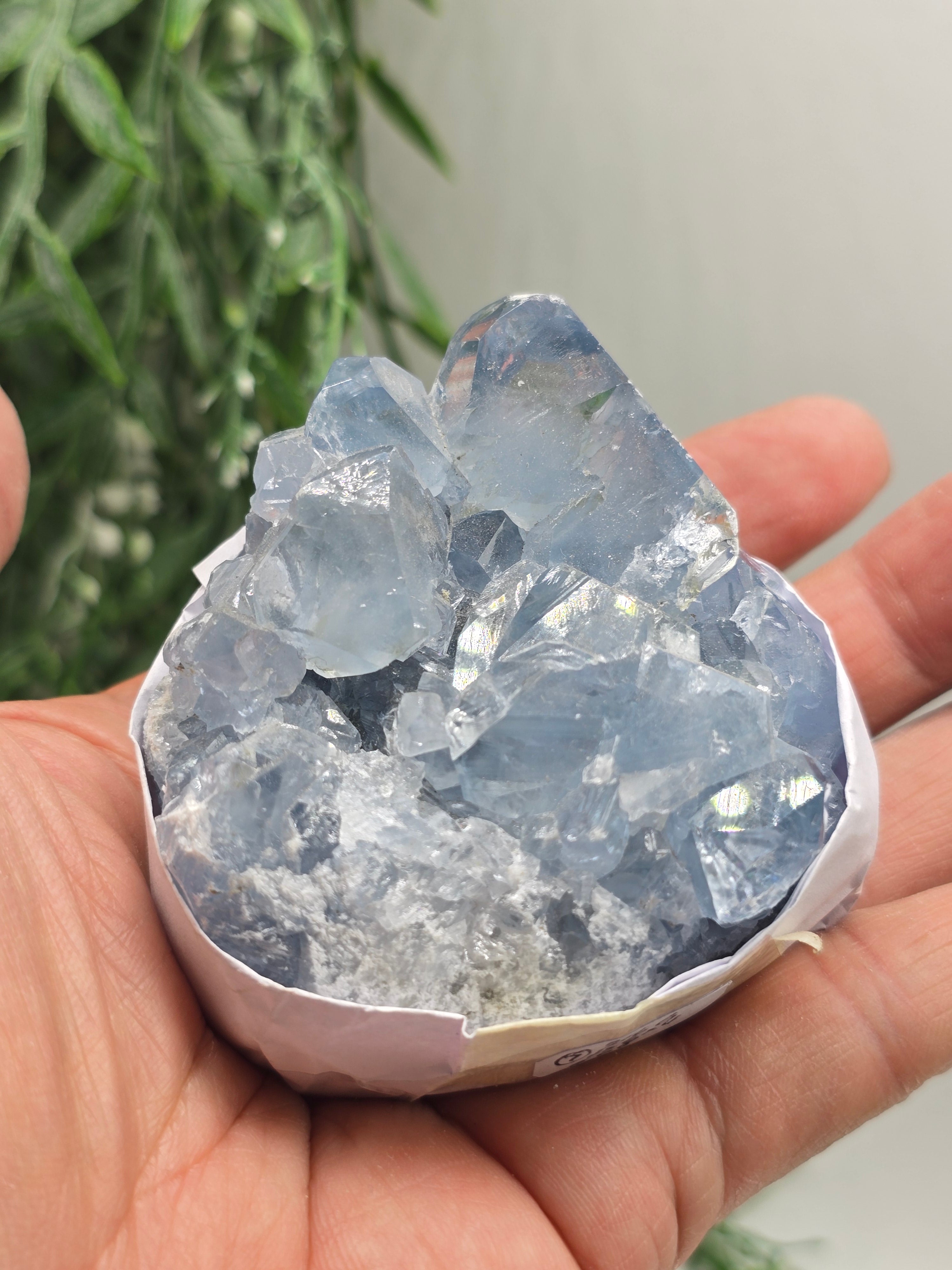 Natural Celestite Cluster – Madagascar | Angelic Communication, Peace & Spiritual Connection Crystal Wellness