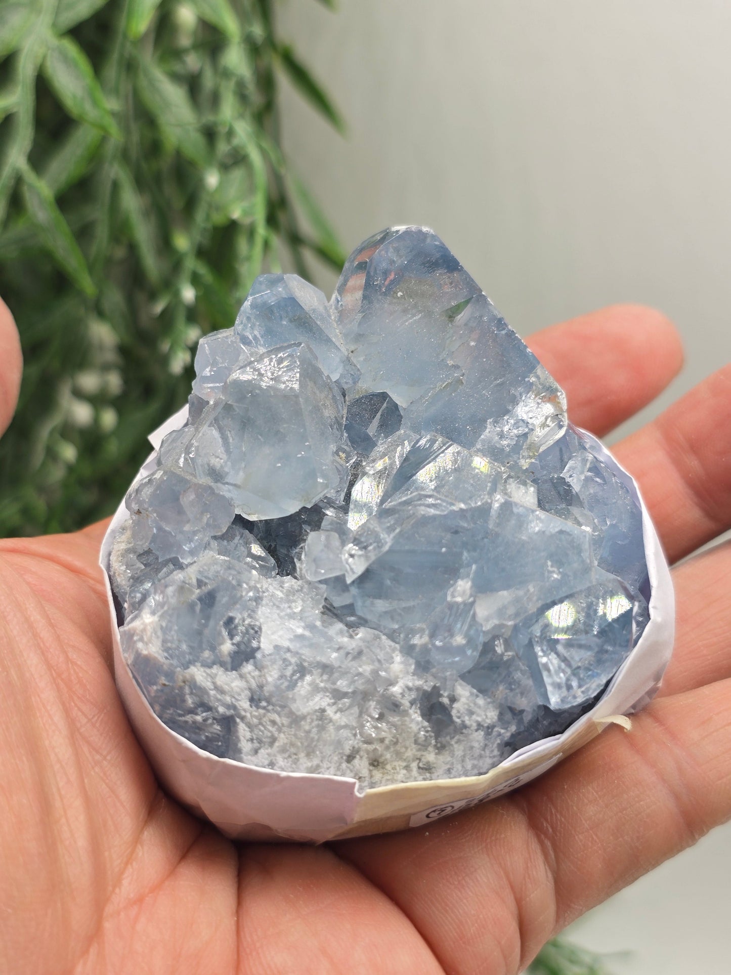 Natural Celestite Cluster – Madagascar | Angelic Communication, Peace & Spiritual Connection Crystal Wellness