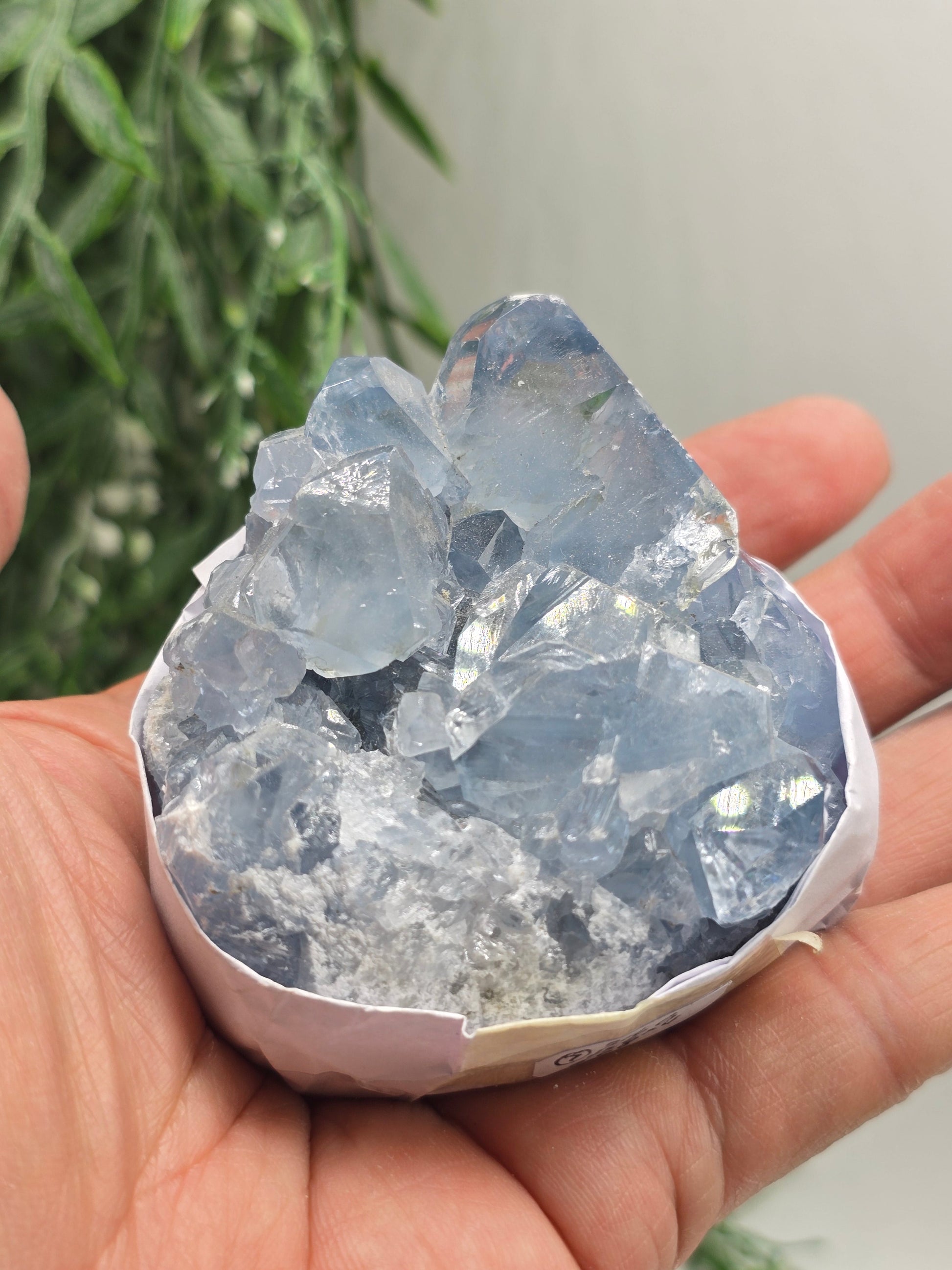 Natural Celestite Cluster – Madagascar | Angelic Communication, Peace & Spiritual Connection Crystal Wellness