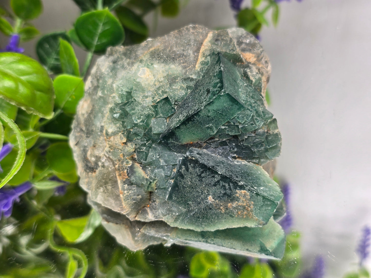 Natural Green Fluorite Cluster | Stone of Clarity & Renewal Crystal Wellness