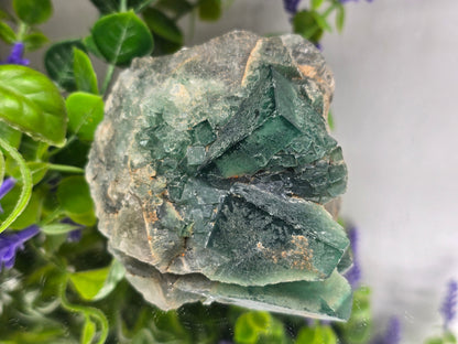 Natural Green Fluorite Cluster | Stone of Clarity & Renewal Crystal Wellness