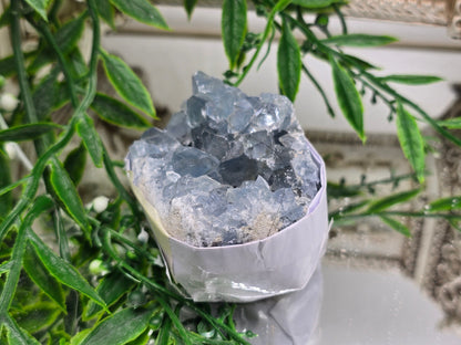 Natural Celestite Cluster – Madagascar | Angelic Communication, Peace & Spiritual Connection Crystal Wellness
