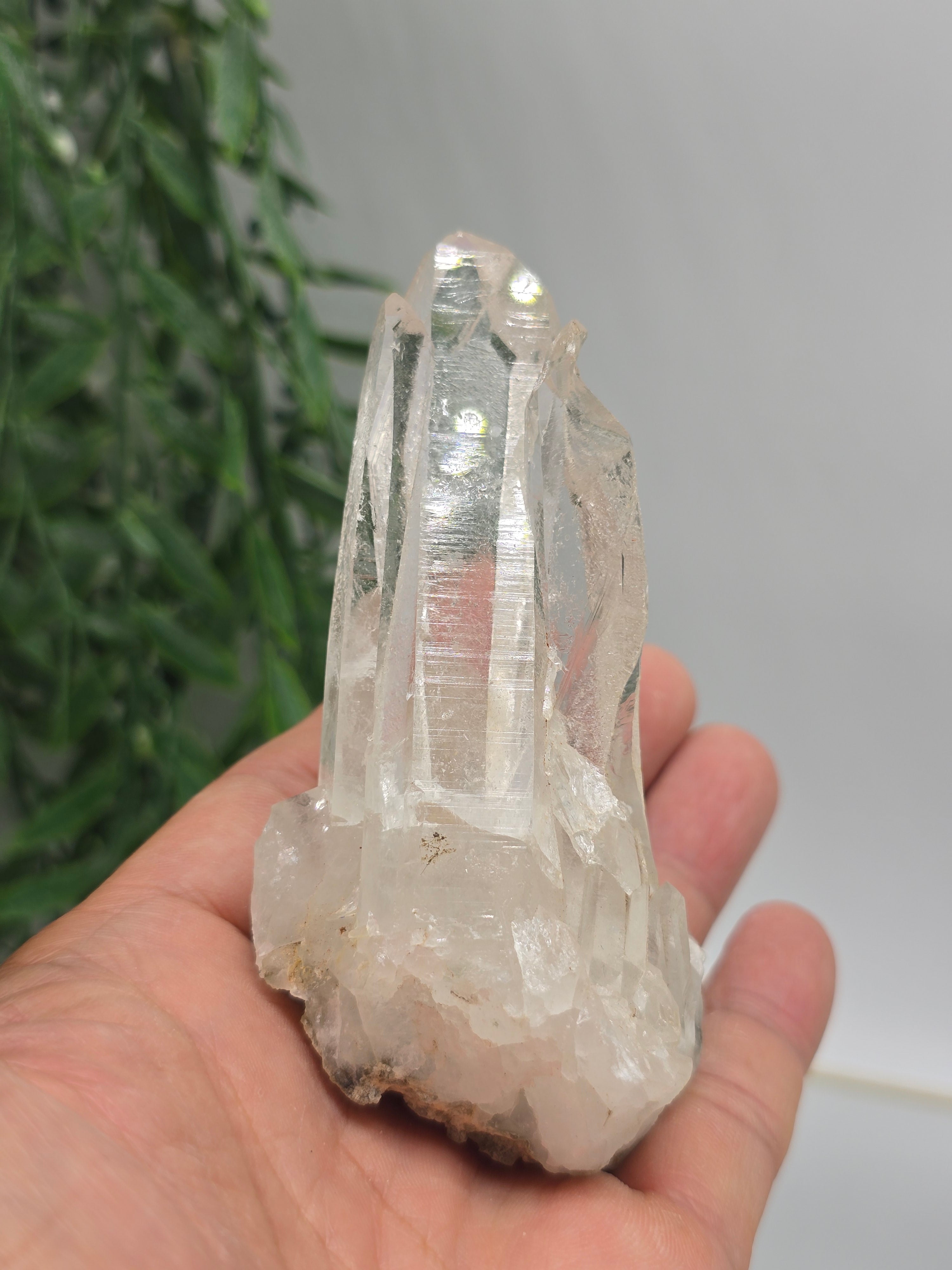 Clear Quartz Cluster Specimen 10 × 6 cm (Stone of Amplified Light & Pure Clarity) Crystal Wellness