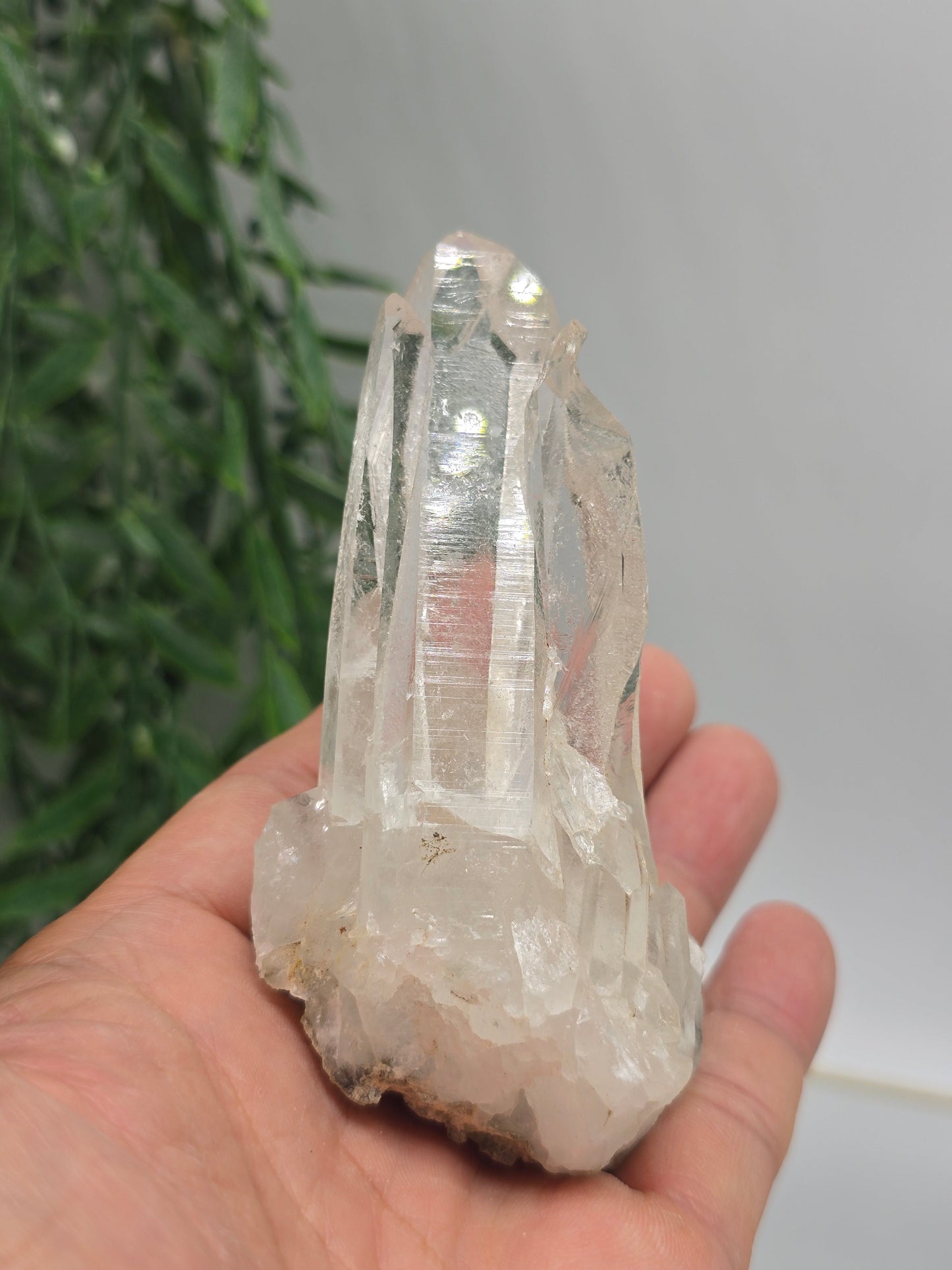 Clear Quartz Cluster Specimen 10 × 6 cm (Stone of Amplified Light & Pure Clarity) Crystal Wellness
