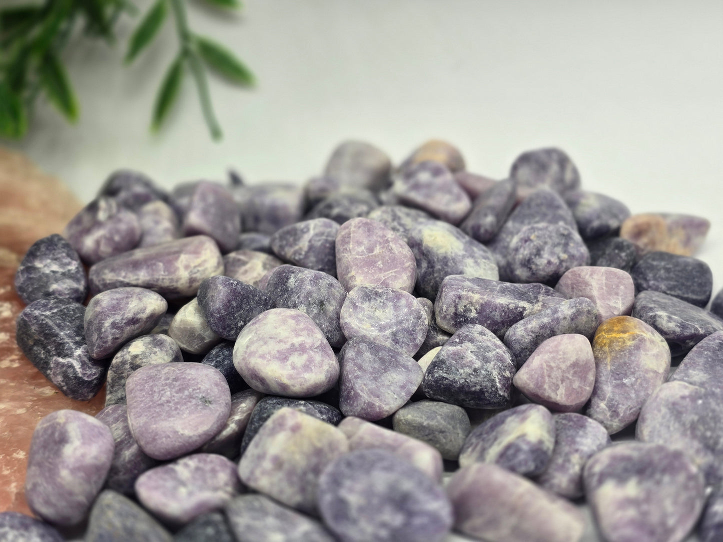 Lepidolite Tumbled Stone Crystal Wellness