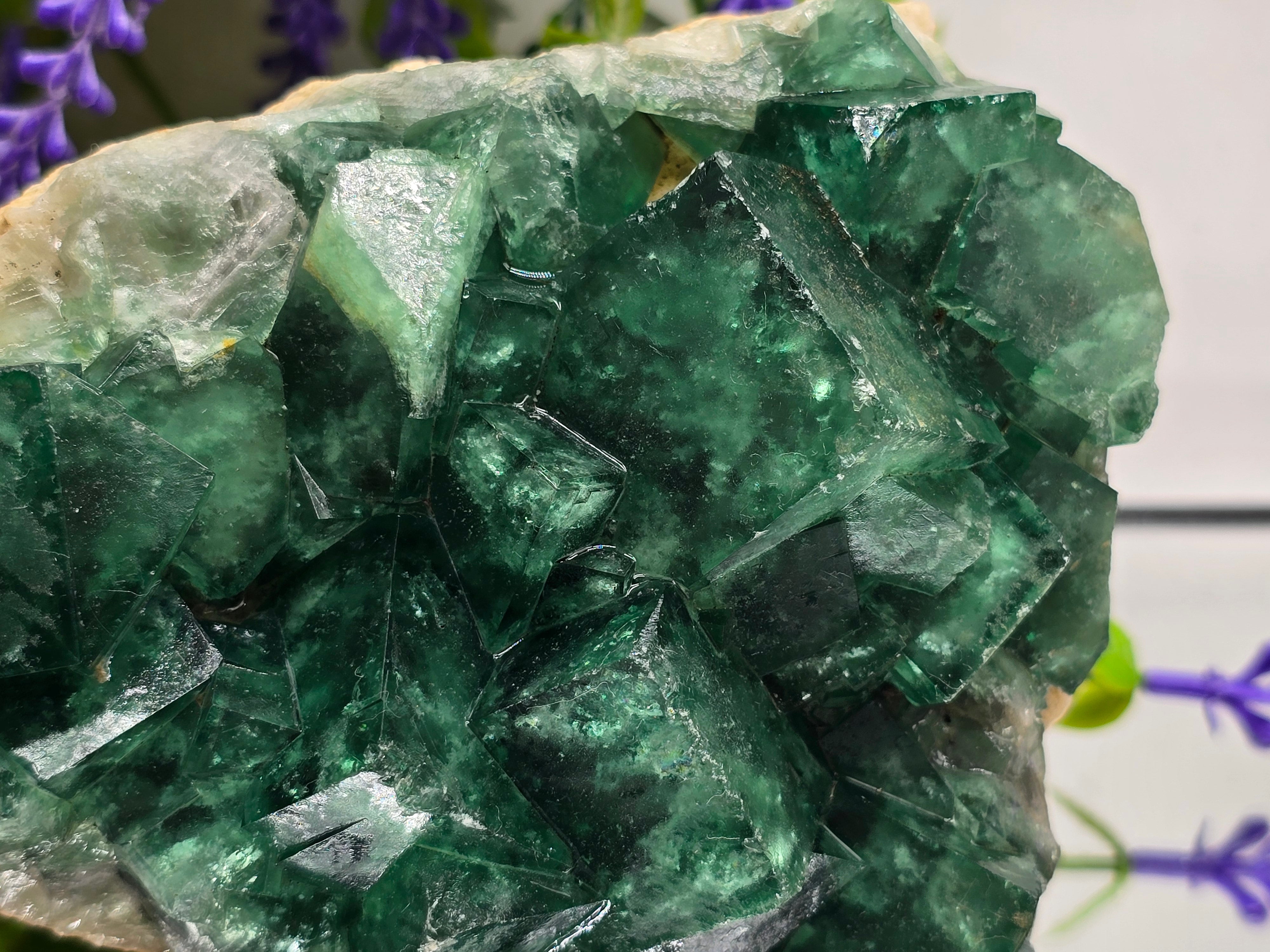 Natural Green Fluorite Cluster — Madagascar (Stone of Clarity & Renewal) Crystal Wellness