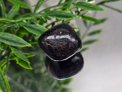 Genuine Nuumite Tumbled Stone | Stone of Ancient Protection, Transformation & Personal Power | 28.23g Crystal Wellness