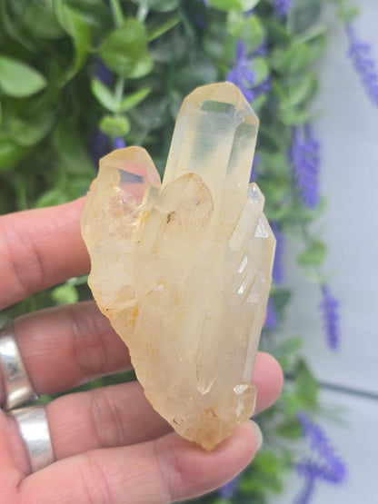 Natural Citrine Cluster – Stone of Abundance, Joy & Personal Empowerment Crystal Wellness