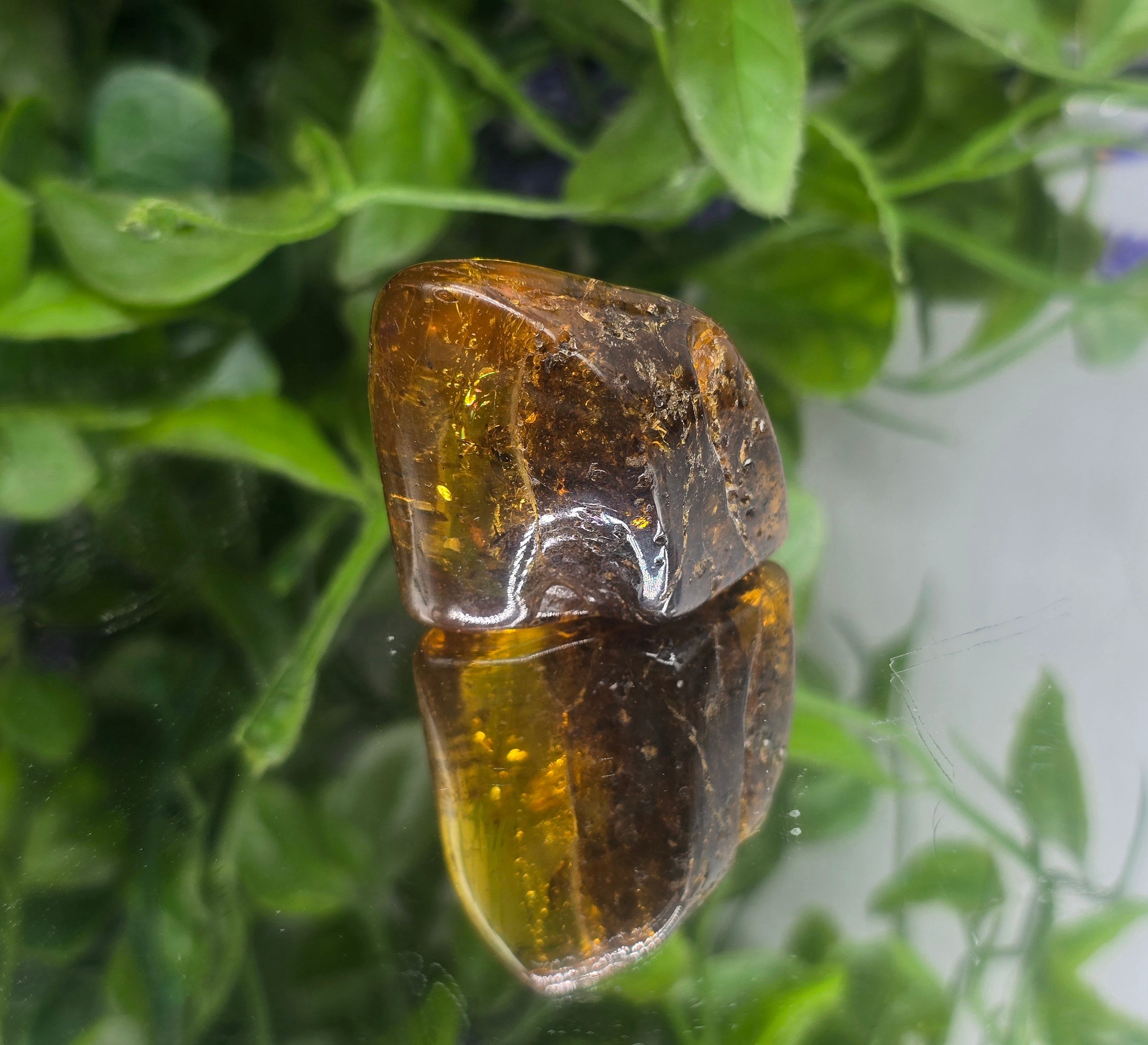 Baltic Amber Polished 16.60g Crystal Wellness