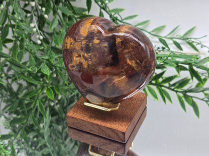 Premium Grade Madagascar Petrified Wood Heart – Stone of Stability and Enduring Success | 481g (Stand Included) Crystal Wellness