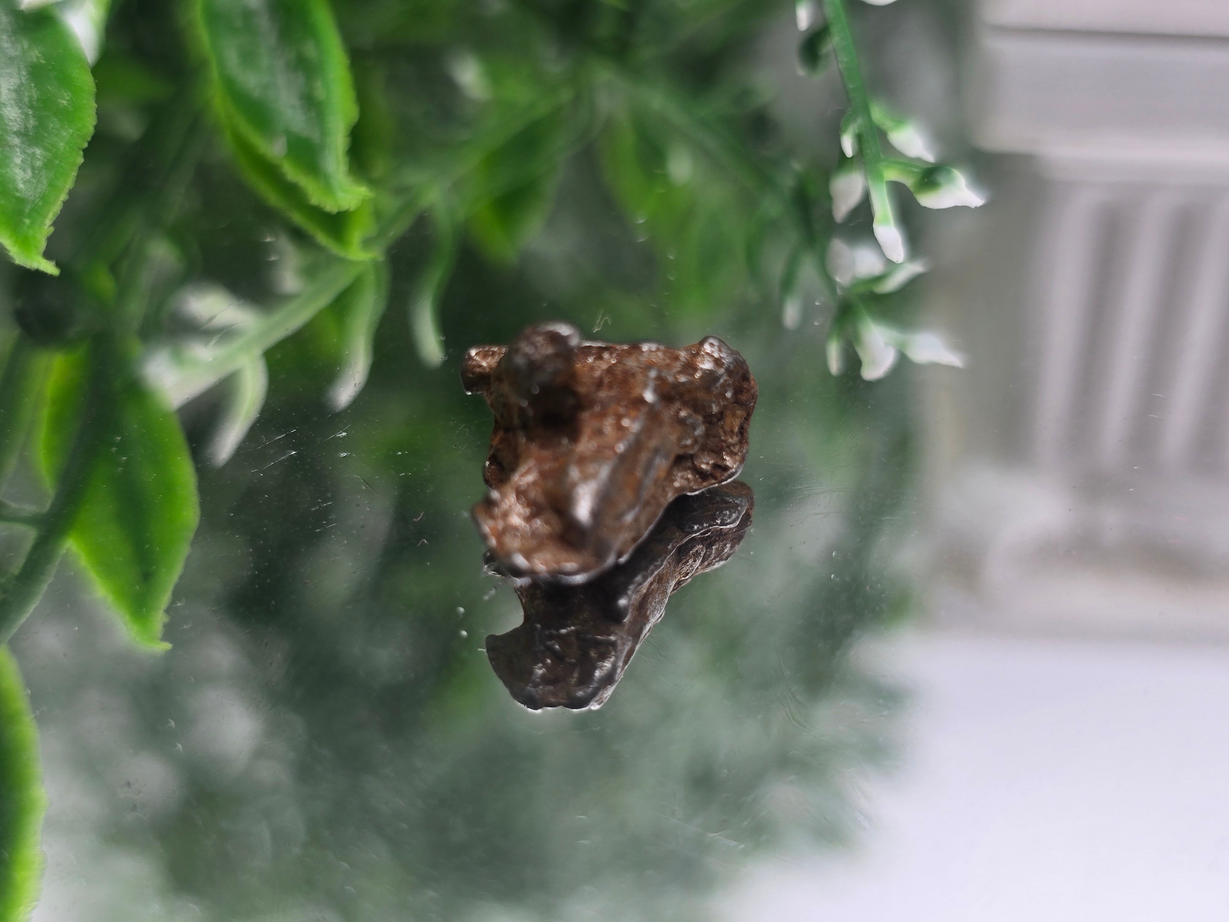 ✨ Sikhote-Alin Iron Meteorite – 2.75g | Starfire of Ancient Universes Crystal Wellness