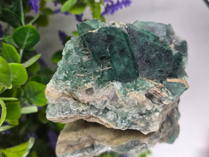 Natural Green Fluorite Cluster — Madagascar (Stone of Clarity & Renewal) Crystal Wellness