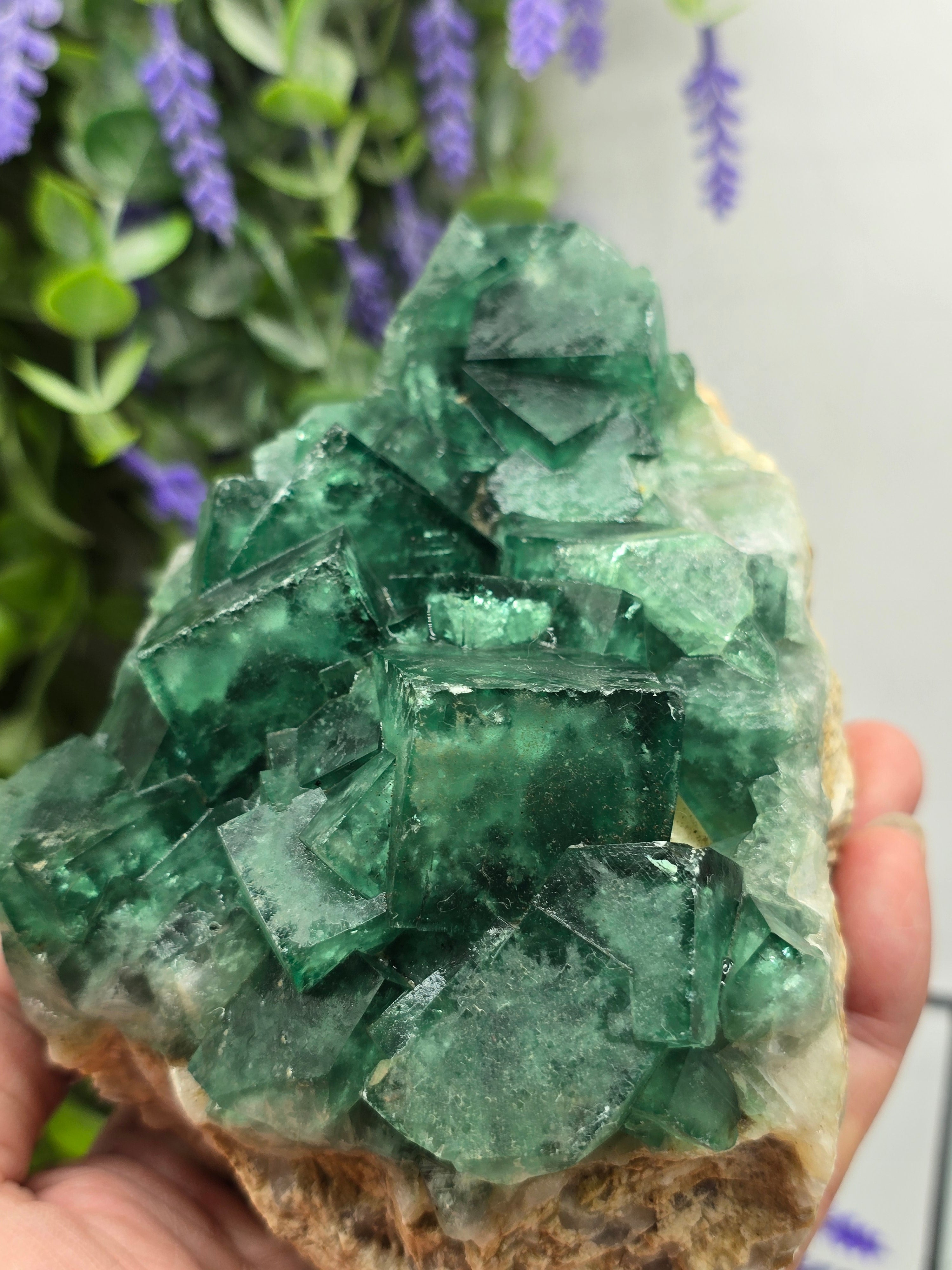 Natural Green Fluorite Cluster — Madagascar (Stone of Clarity & Renewal) Crystal Wellness