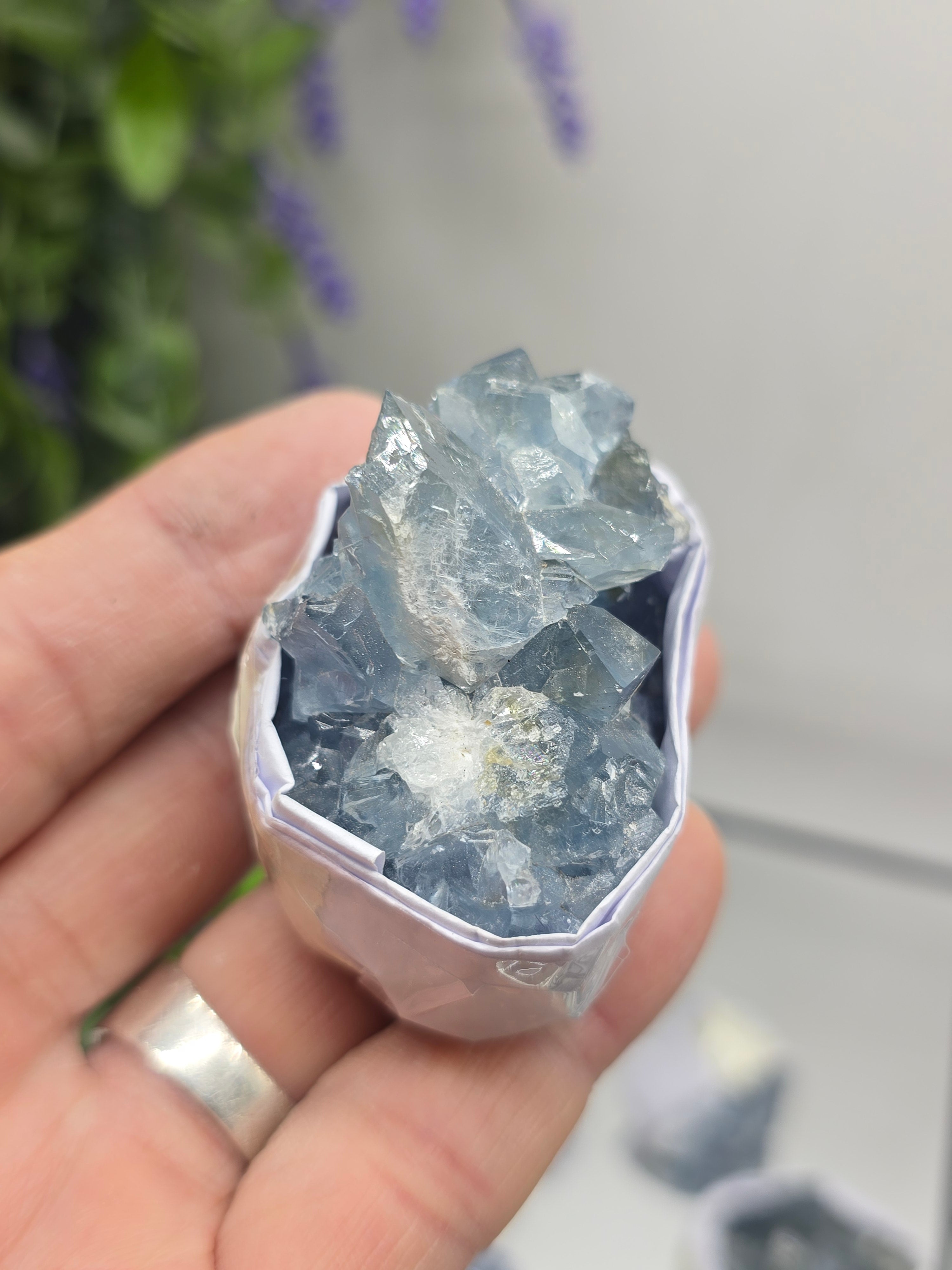 Celestite Small Cluster Collection – Natural Sky Blue Crystal Variety Sizes Crystal Wellness