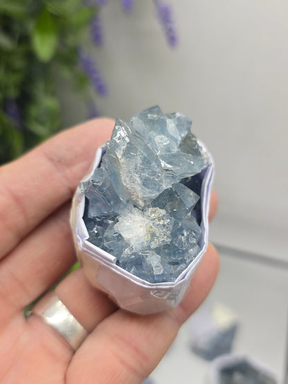 Celestite Small Cluster Collection – Natural Sky Blue Crystal Variety Sizes Crystal Wellness