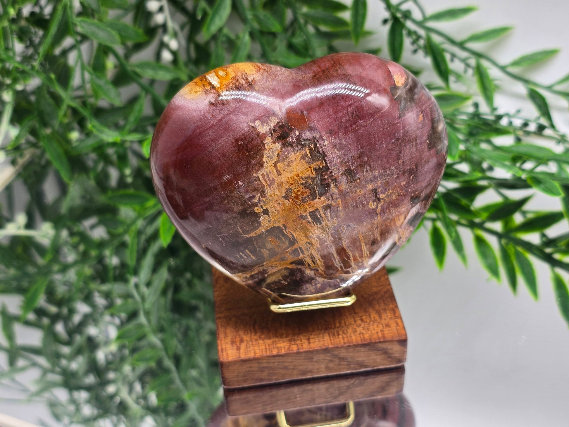 Premium Grade Madagascar Petrified Wood Heart with Wooden Stand – 480g (Stone of Stability and Enduring Success) Crystal Wellness