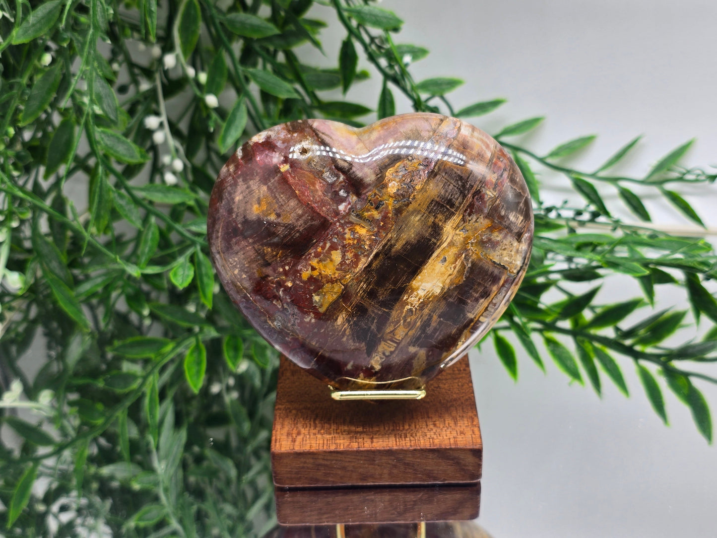 Premium Grade Madagascar Petrified Wood Heart – Stone of Stability and Enduring Success | 458g Crystal Wellness