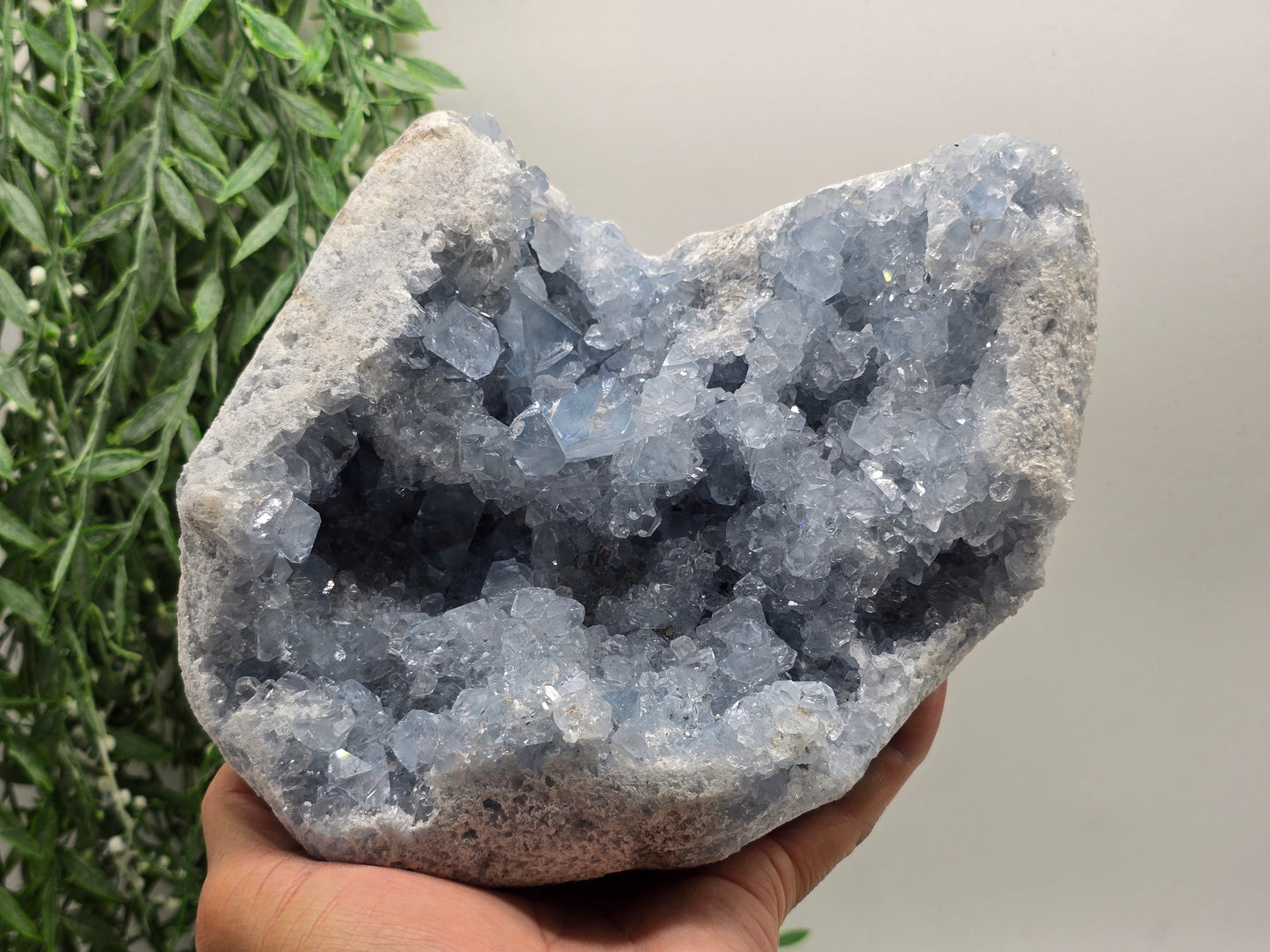 Celestite Geode 3.5kg – 21 × 18 × 9 cm (Stone of Angelic Peace) Crystal Wellness