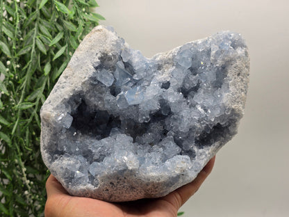 Celestite Geode 3.5kg – 21 × 18 × 9 cm (Stone of Angelic Peace) Crystal Wellness