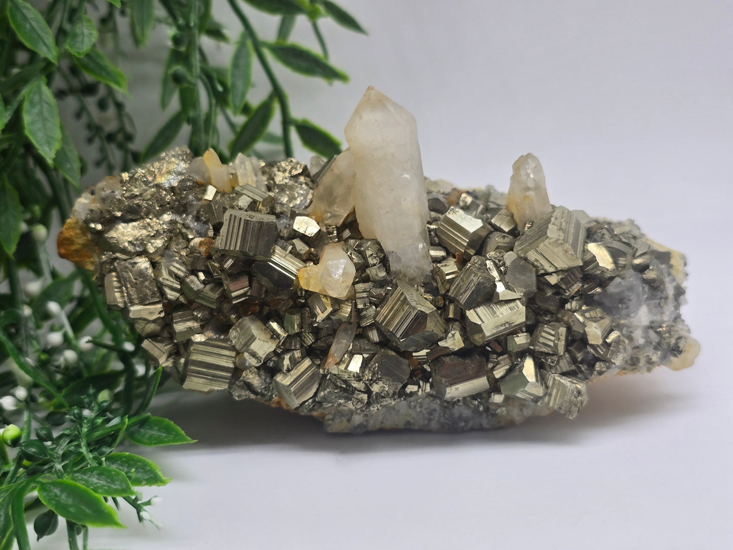 Pyrite with Clear Quartz Point AAA Grade Rare 14x9x8cm 1kg Crystal Wellness