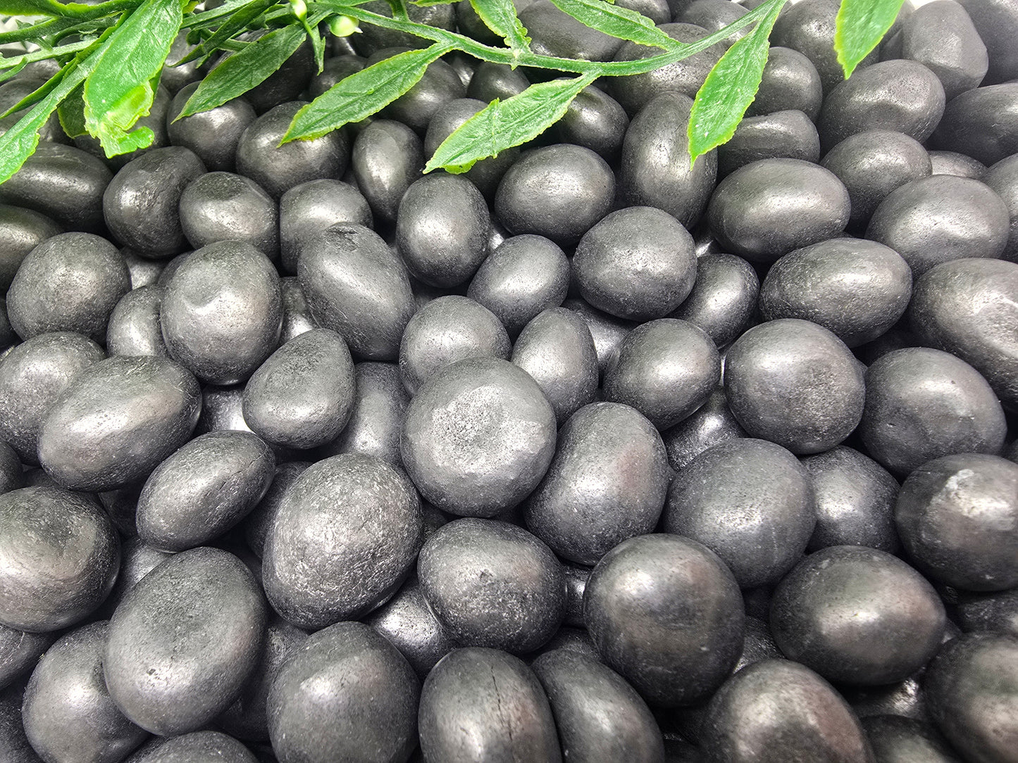Shungite Tumbled Stone Crystal Wellness