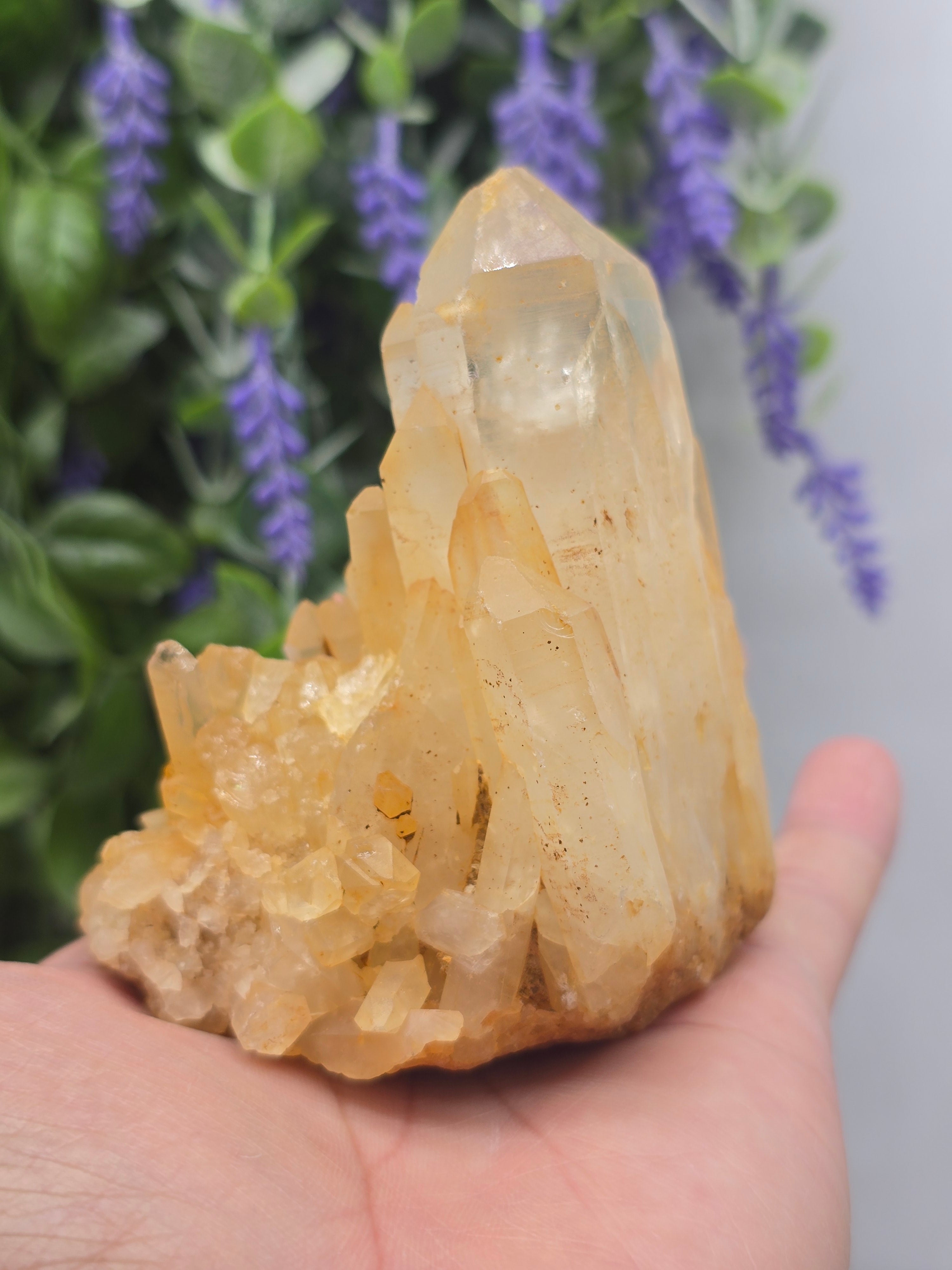 Madagascar Genuine Natural Citrine Cluster – 341g (Stone of Abundance and Positive Manifestation) Crystal Wellness