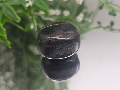 Isua Stone Polished Tumble (Stone of Ancient Earth Wisdom) Crystal Wellness