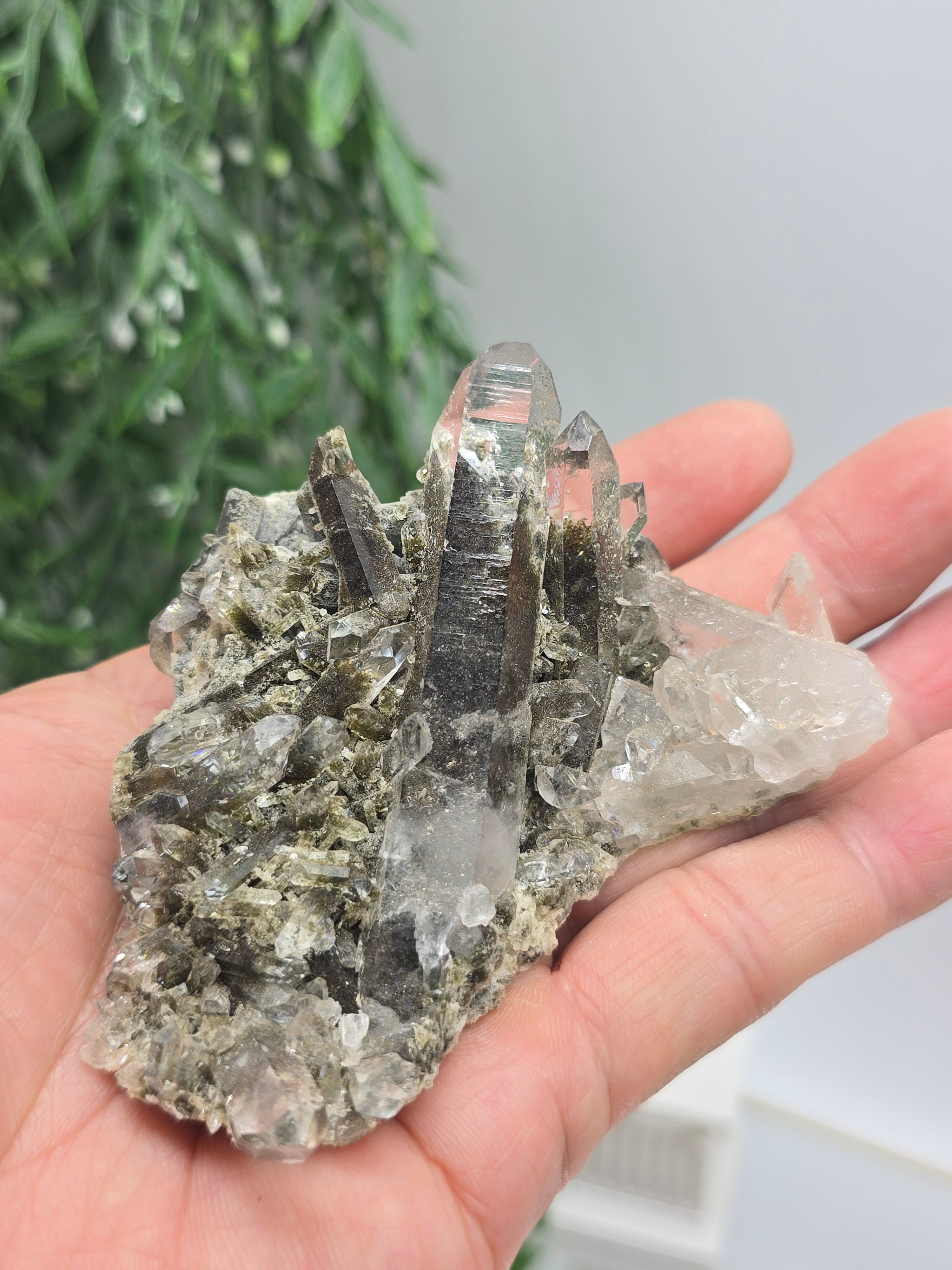 Black Phantom Quartz Cluster 8×8 cm (Stone of Shadow Integration & Spiritual Transformation) Crystal Wellness