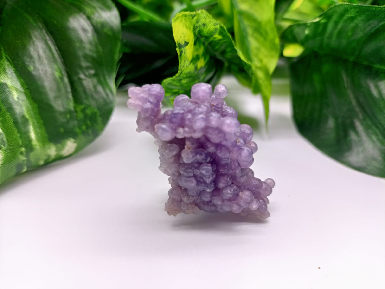 Grape Agate AAA Grade Clusters (RARE) Crystal Wellness