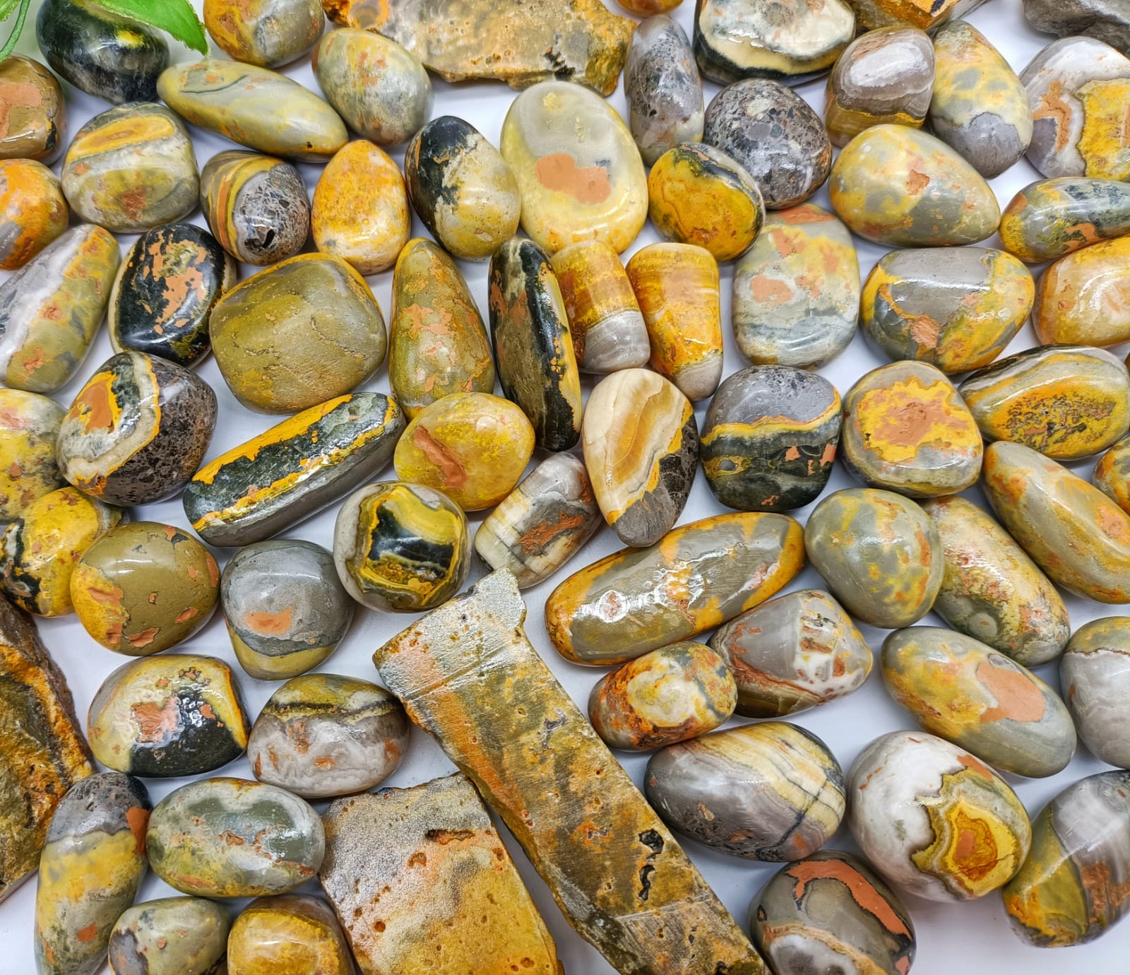 Bumblebee Jasper Tumbled Stones

