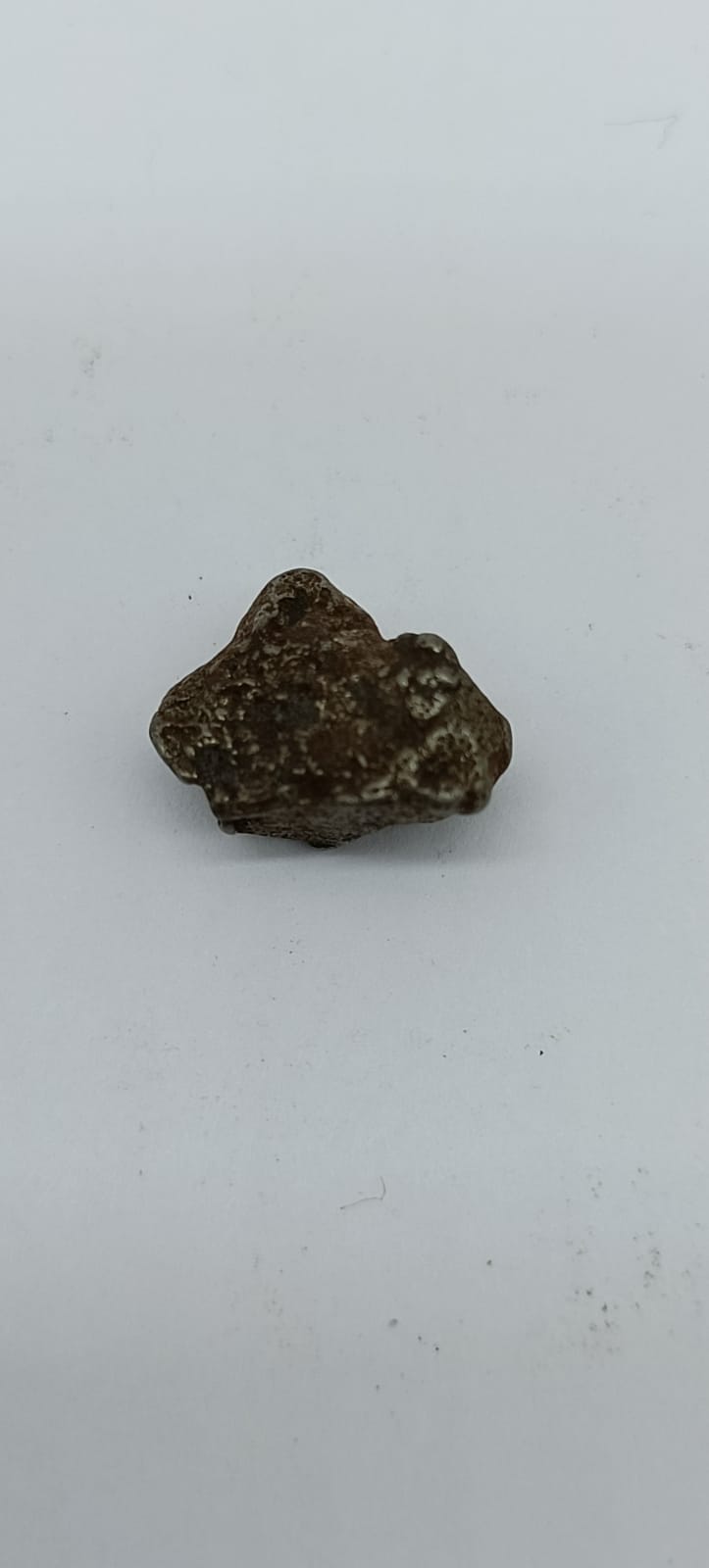 Sikhote-Alin Iron Meteorite Shrapnel