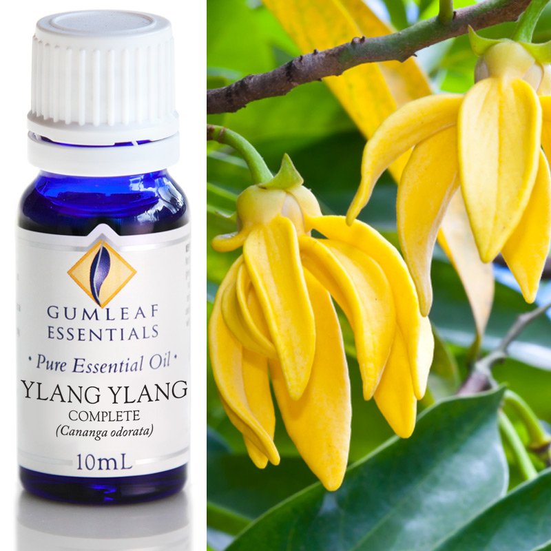 Ylang Ylang Complete Essential Oil Crystal Wellness