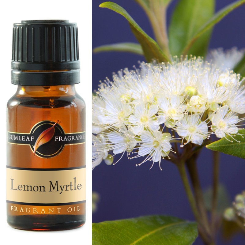 Lemon Myrtle Fragrance Oil Crystal Wellness