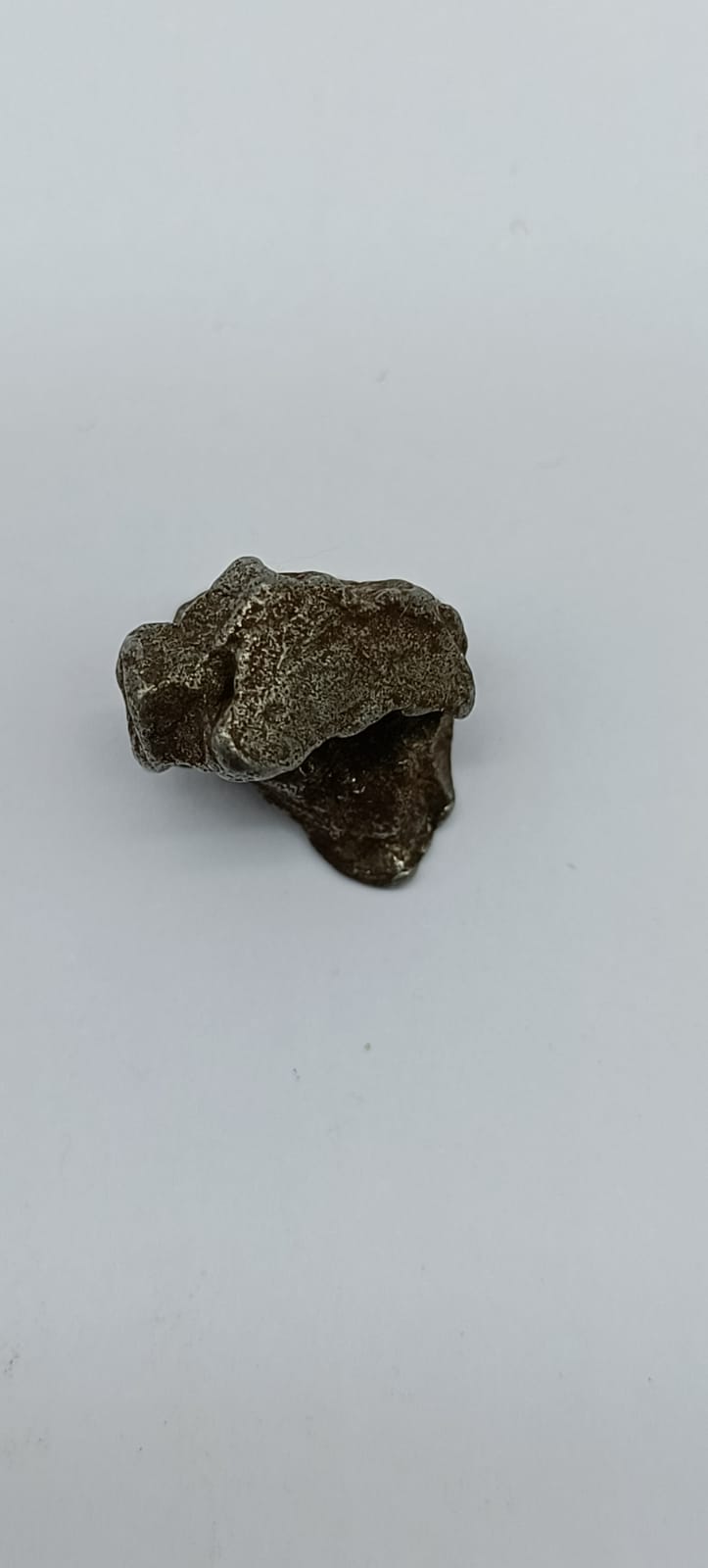 Sikhote-Alin Iron Meteorite Shrapnel