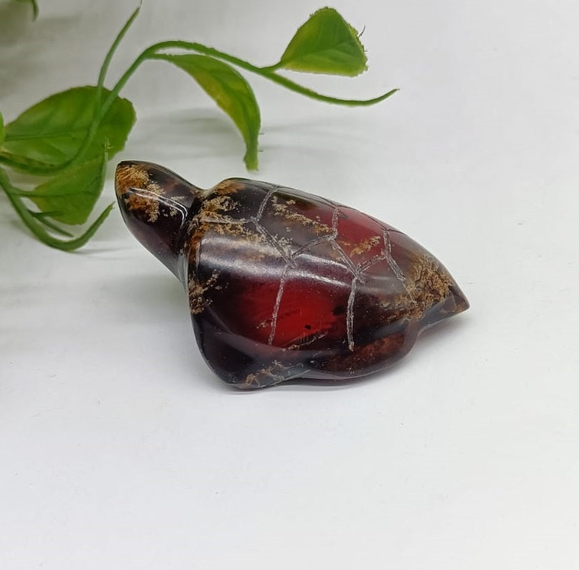 Rare Sumatra Amber in Turtle 6.5x4.5cm

